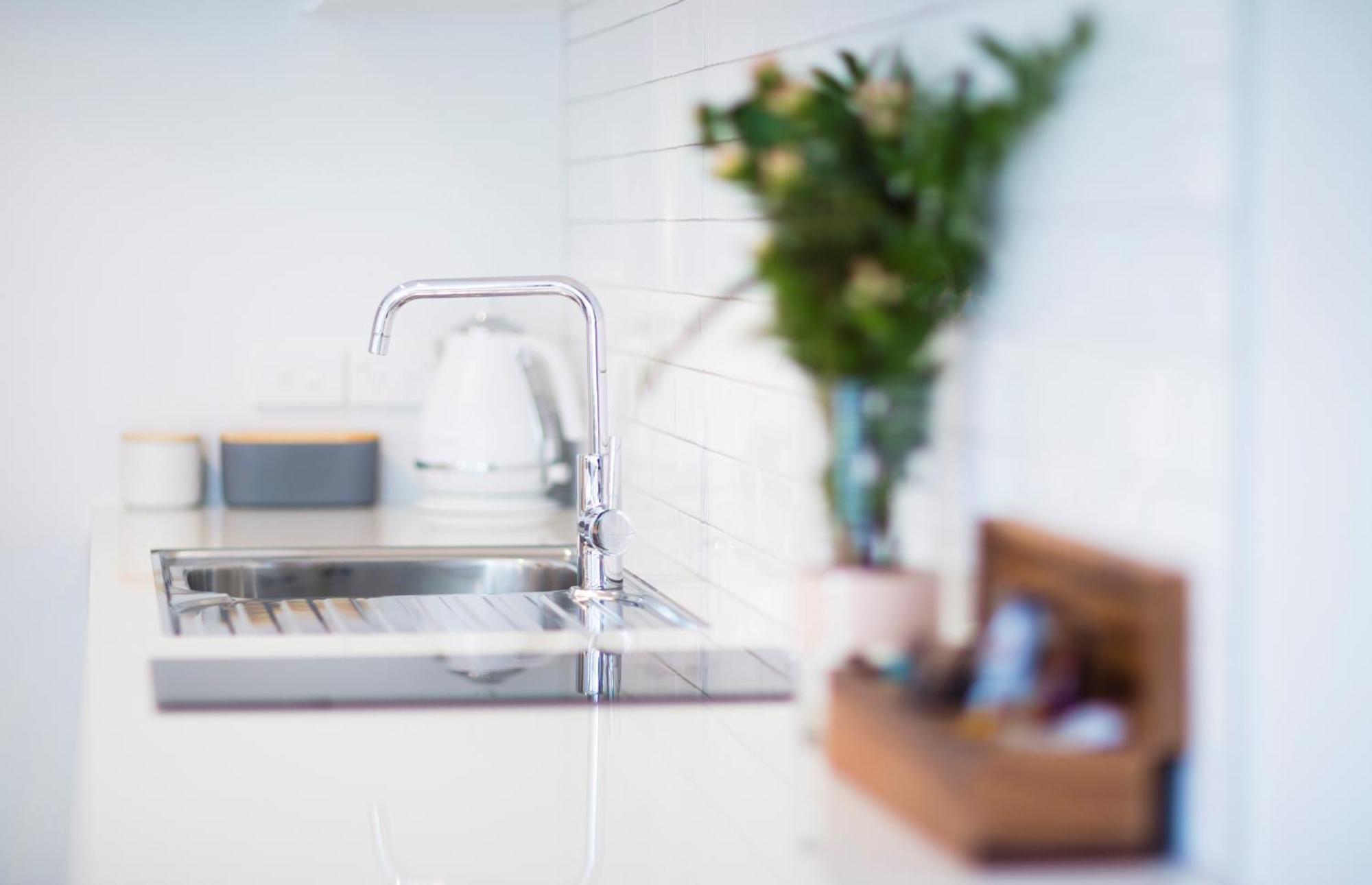 Beechwood Boutique Accommodation ดะนีดิน ภายนอก รูปภาพ