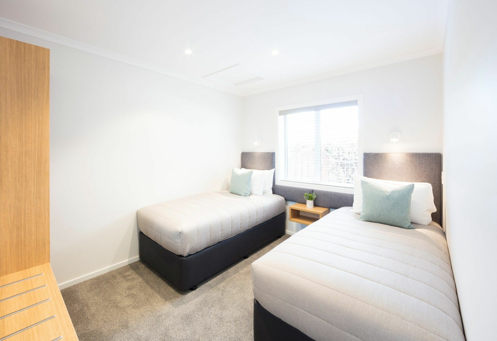 Beechwood Boutique Accommodation ดะนีดิน ภายนอก รูปภาพ