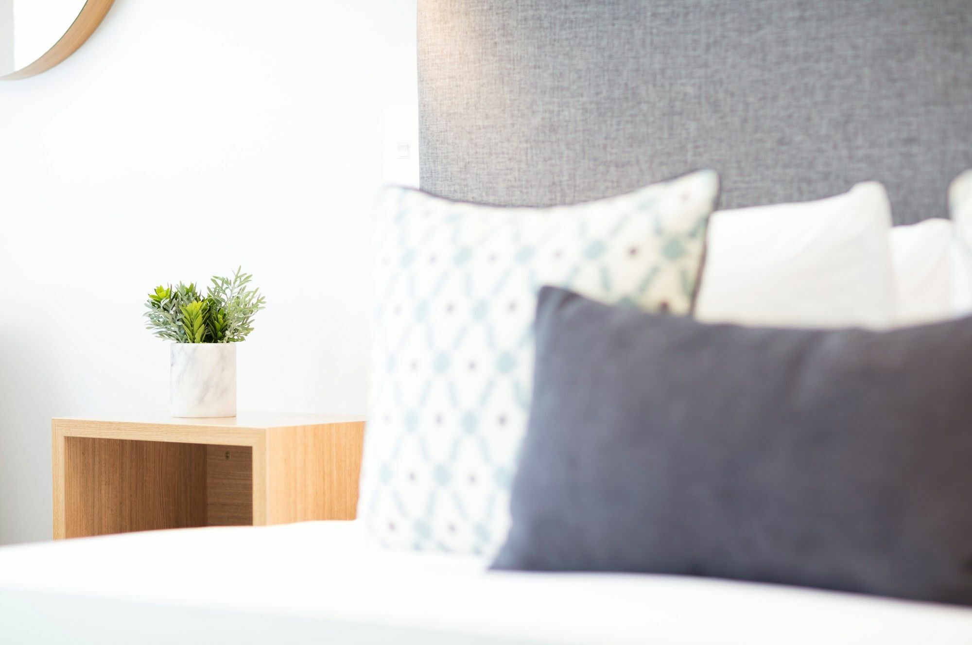 Beechwood Boutique Accommodation ดะนีดิน ภายนอก รูปภาพ