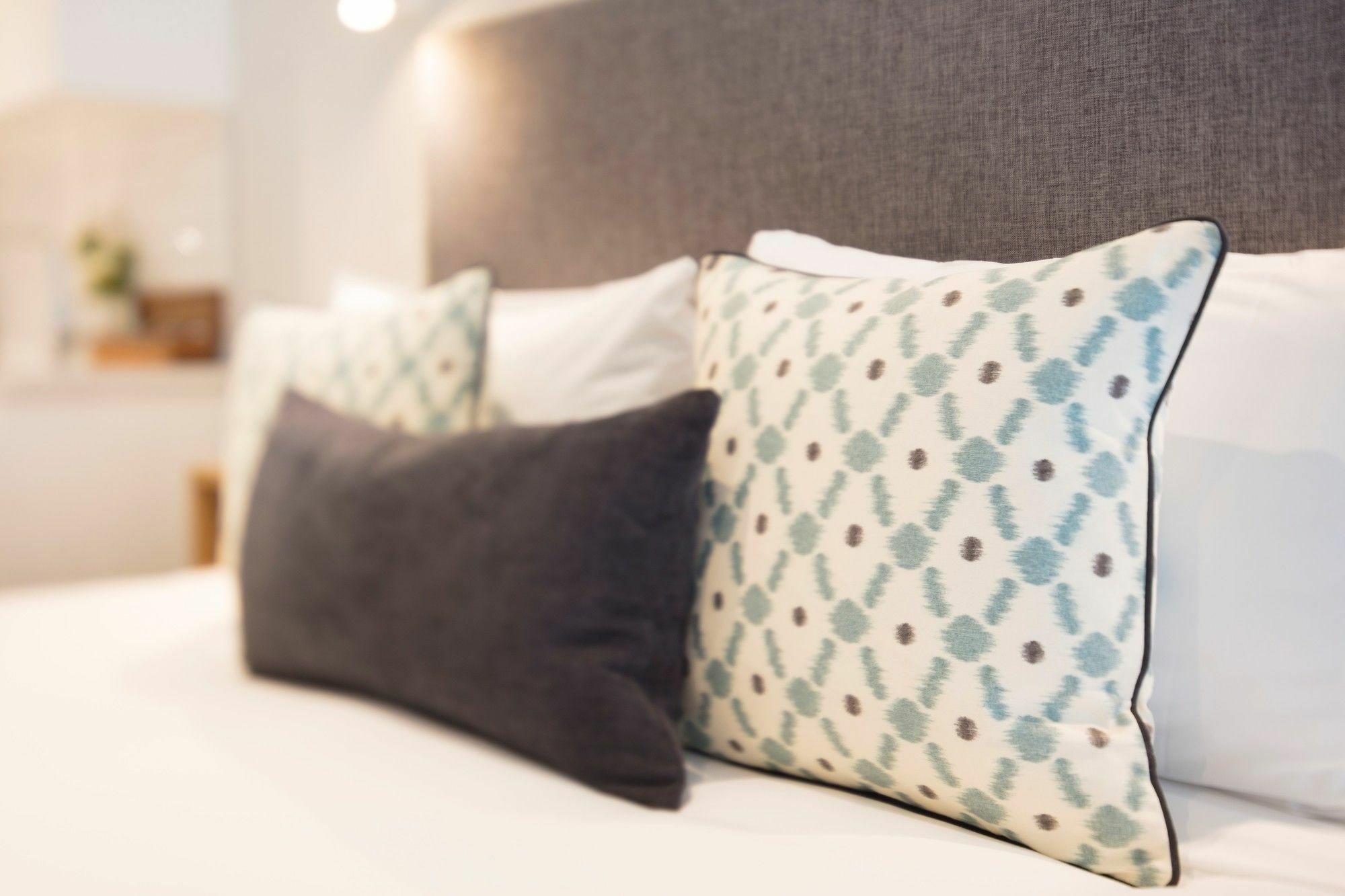Beechwood Boutique Accommodation ดะนีดิน ภายนอก รูปภาพ